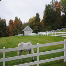 G XXXX ABRIS A CHEVAUX (2)